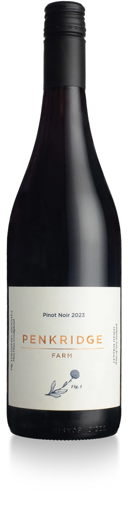 Pinot Noir 2023 - 6 Pack