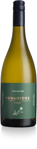 Pinot Gris 2024 - 6 Pack