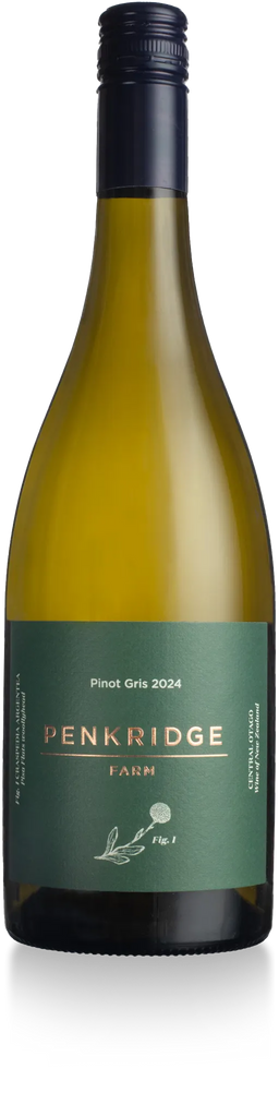 Pinot Gris 2024 - 6 Pack