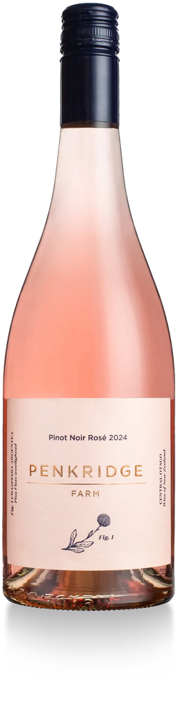 Pinot Noir Rosé 2024 - 6 Pack