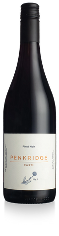 Pinot Noir 2023 - 6 Pack