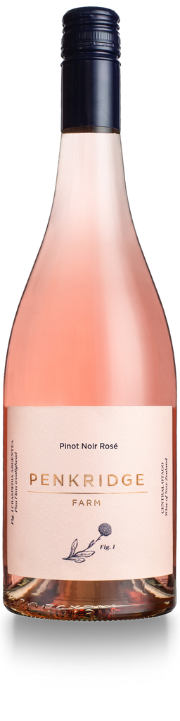 Penkridge Farm Rose